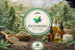 chatgpt image 17 dic 2025, 11 08 39 a.m.