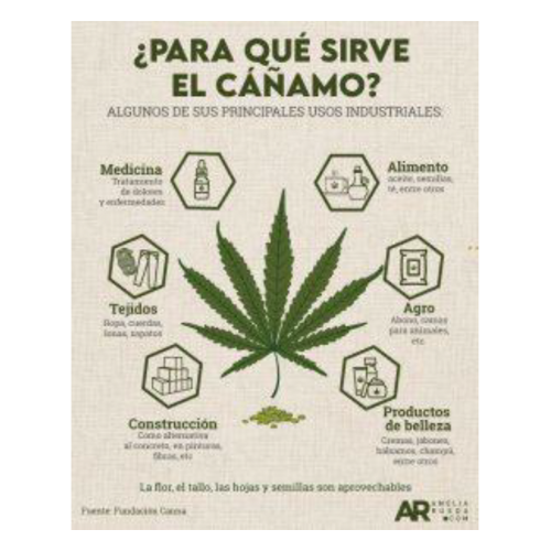 uso del cañamo