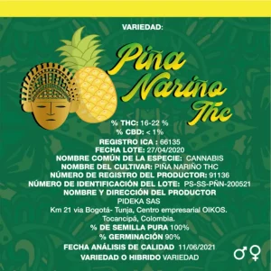 semilla regular piña nariño pack de 3 semillas