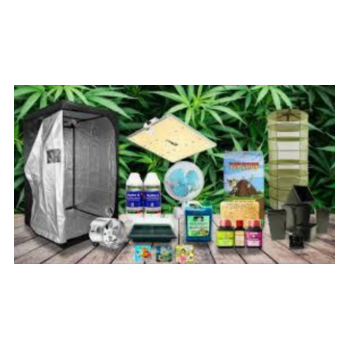 grow shop