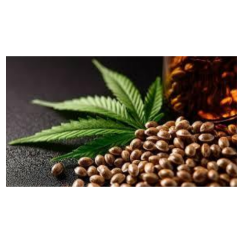 semillas de marihuana