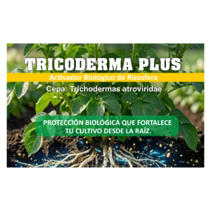Trichoderma