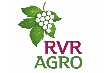 Diseño sin título (23)