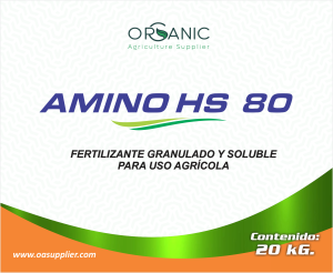Amino HS80