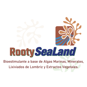 Rooty Sealand